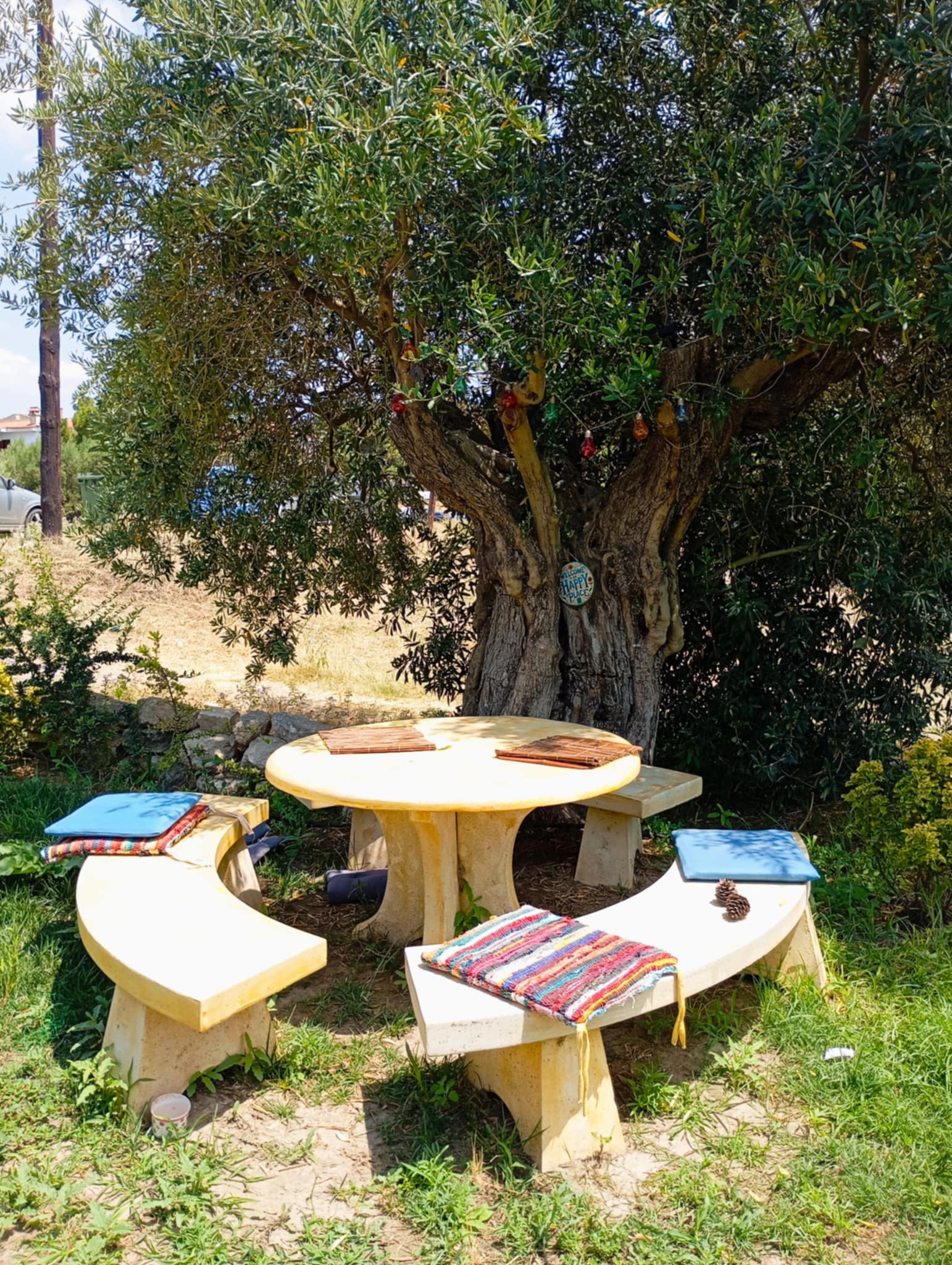 Lia's semi-basement apartment with windows.